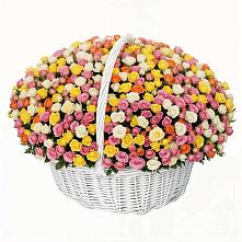 Премиум букет из: Розы в Алейске Алтайский край