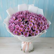 Букет цветов из:  Хризантемы в Алейске Алтайский край